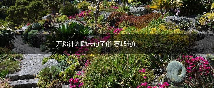 万粉计划励志句子(推荐15句),第1张