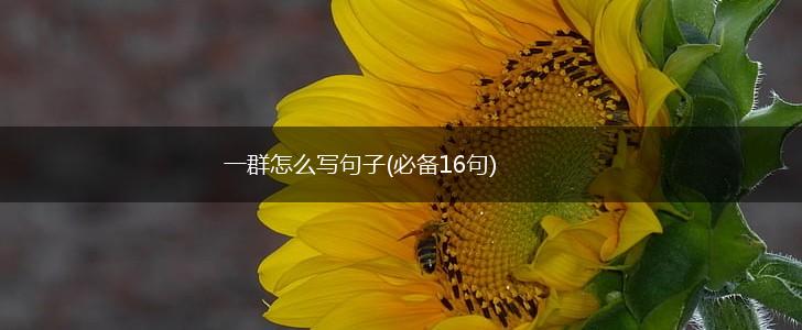 一群怎么写句子(必备16句),第1张