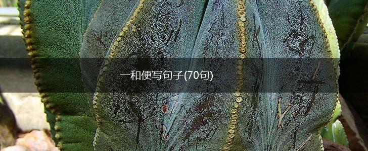 一和便写句子(70句),第1张