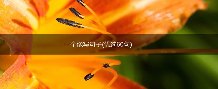 一个像写句子(优选60句),第1张