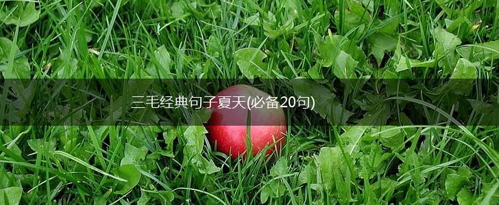 三毛经典句子夏天(必备20句),第1张