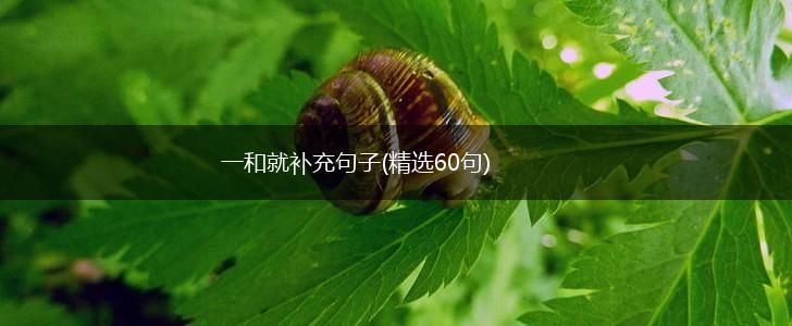 一和就补充句子(精选60句),第1张