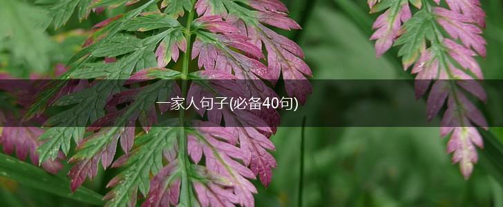 一家人句子(必备40句),第1张