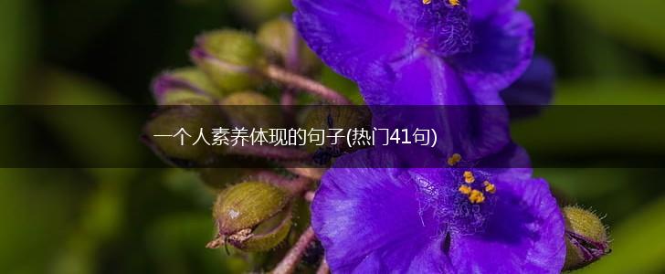 一个人素养体现的句子(热门41句),第1张