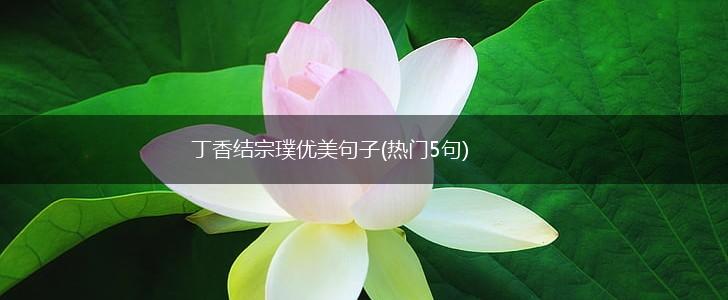 丁香结宗璞优美句子(热门5句),第1张