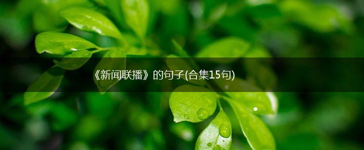 《新闻联播》的句子(合集15句),第1张