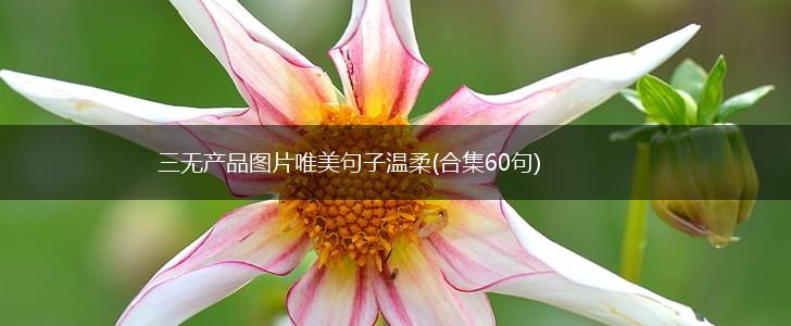 三无产品图片唯美句子温柔(合集60句),第1张