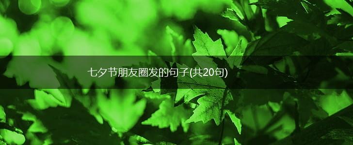 七夕节朋友圈发的句子(共20句),第1张