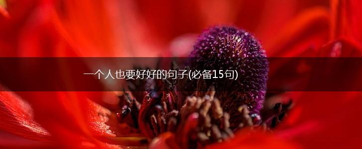 一个人也要好好的句子(必备15句),第1张