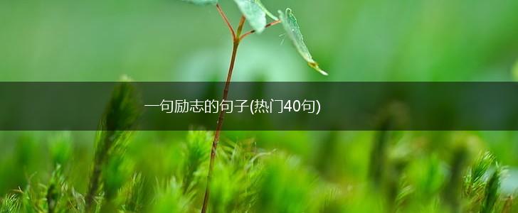 一句励志的句子(热门40句),第1张