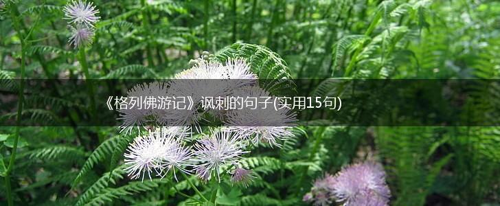 《格列佛游记》讽刺的句子(实用15句),第1张