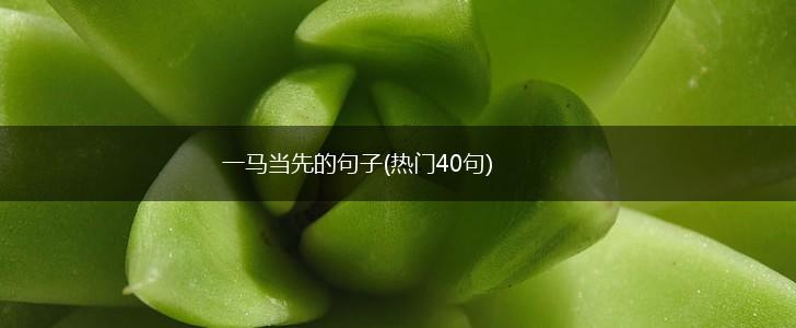 一马当先的句子(热门40句),第1张