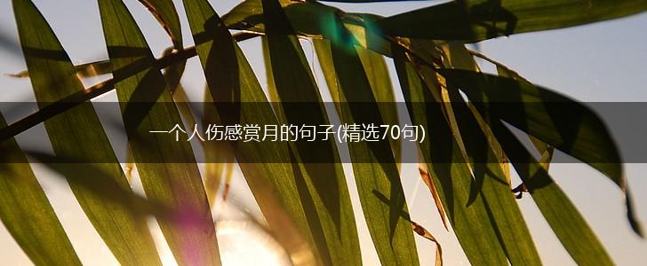 一个人伤感赏月的句子(精选70句),第1张