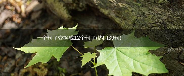 一个句子变换成12个句子(热门39句),第1张