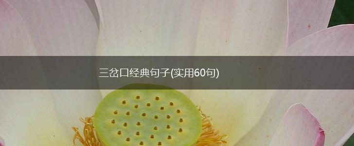 三岔口经典句子(实用60句),第1张