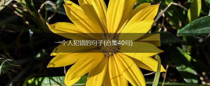 一个人犯错的句子(合集40句),第1张