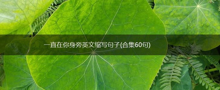 一直在你身旁英文缩写句子(合集60句),第1张
