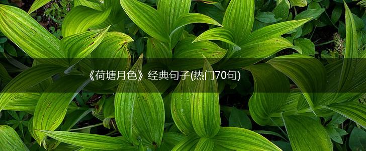 《荷塘月色》经典句子(热门70句),第1张