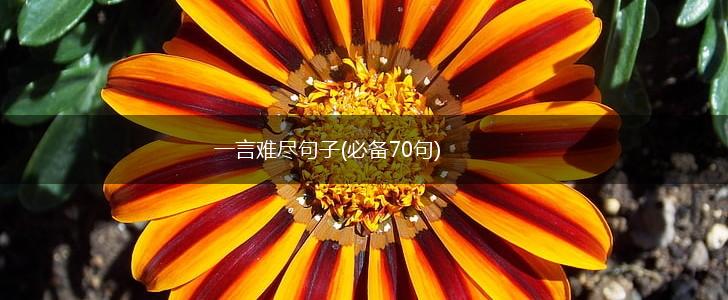 一言难尽句子(必备70句),第1张
