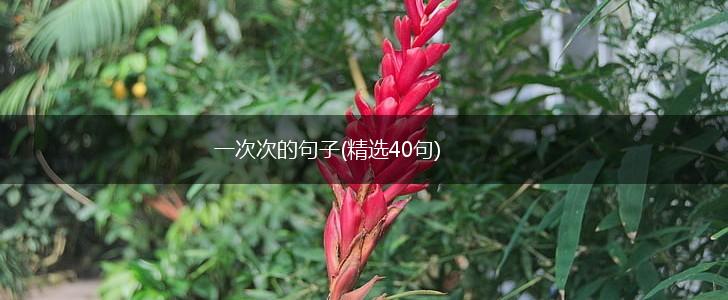 一次次的句子(精选40句),第1张