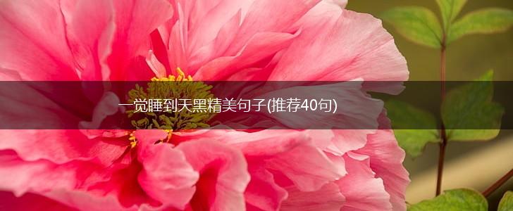 一觉睡到天黑精美句子(推荐40句),第1张