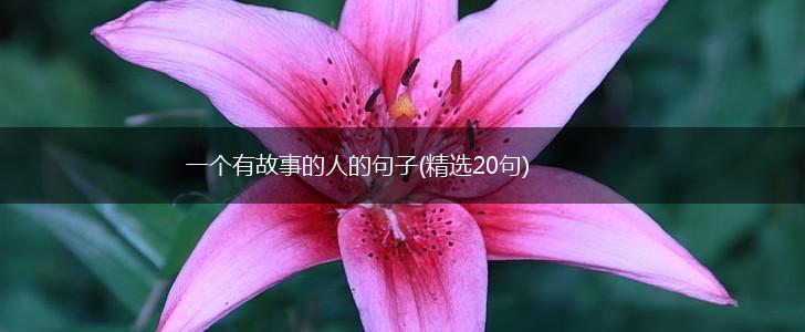 一个有故事的人的句子(精选20句),第1张
