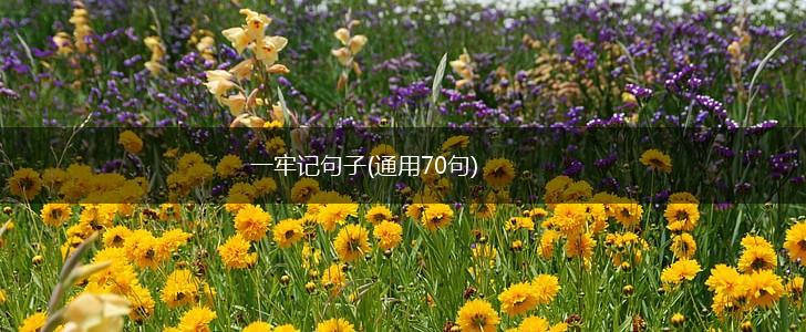 一牢记句子(通用70句),第1张