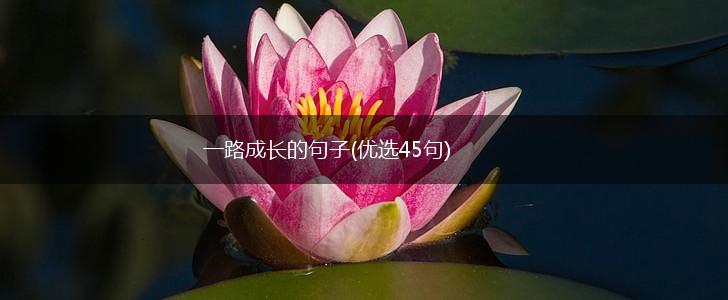 一路成长的句子(优选45句),第1张