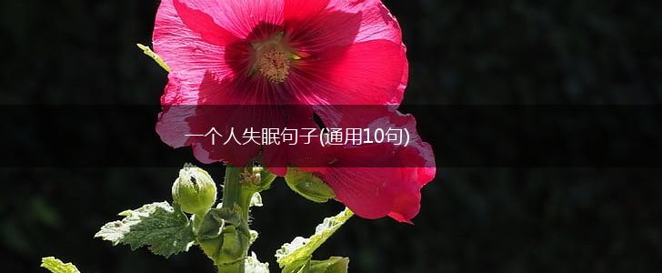 一个人失眠句子(通用10句),第1张