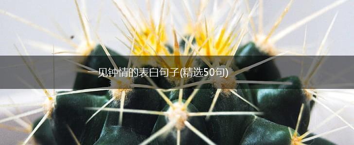 一见钟情的表白句子(精选50句),第1张