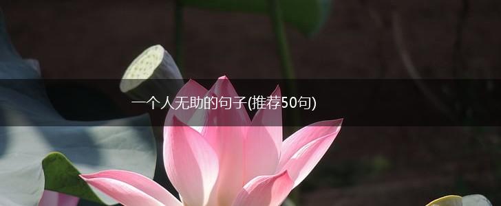 一个人无助的句子(推荐50句),第1张