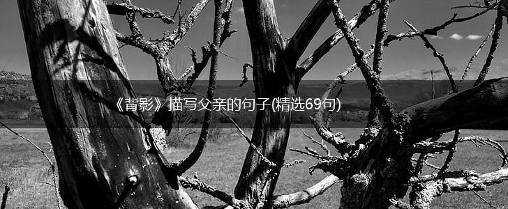 《背影》描写父亲的句子(精选69句),第1张