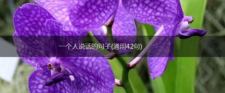 一个人说话的句子(通用42句),第1张