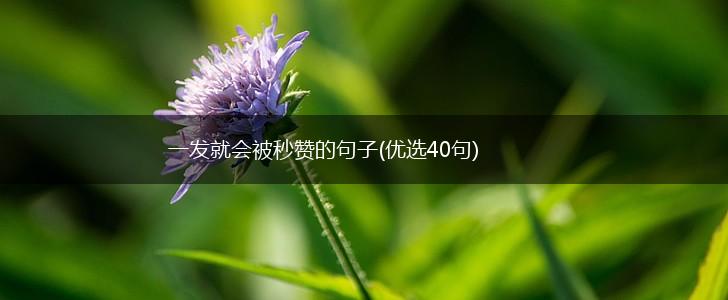 一发就会被秒赞的句子(优选40句),第1张
