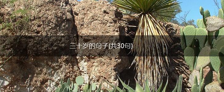三十岁的句子(共30句),第1张
