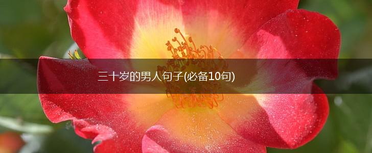 三十岁的男人句子(必备10句),第1张