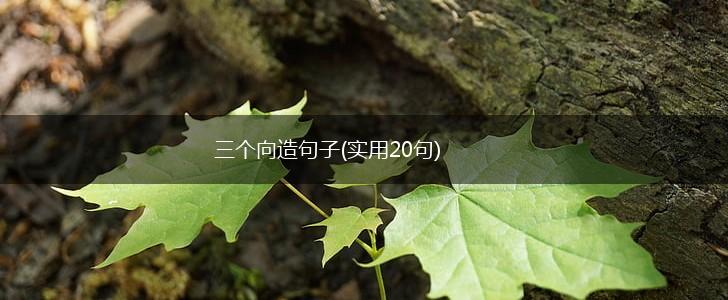 三个向造句子(实用20句),第1张