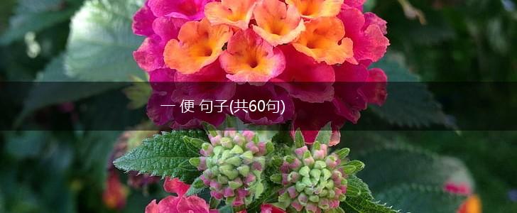 一 便 句子(共60句),第1张