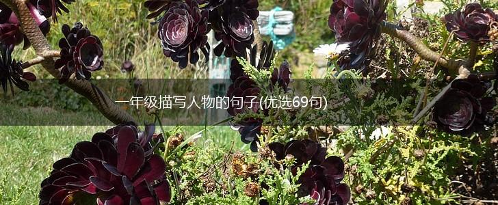 一年级描写人物的句子(优选69句),第1张