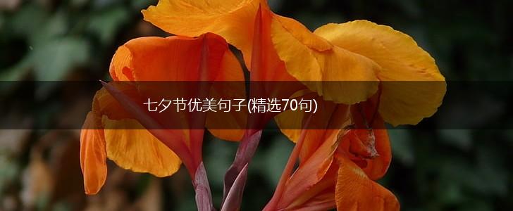 七夕节优美句子(精选70句),第1张