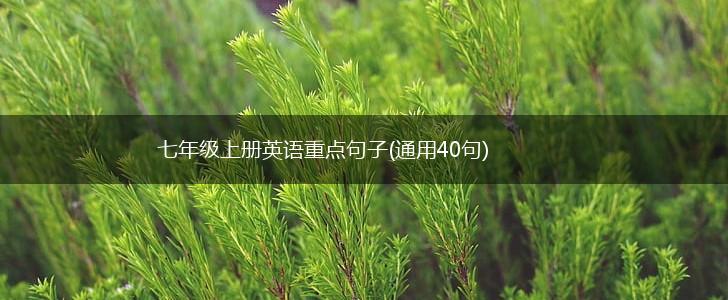 七年级上册英语重点句子(通用40句),第1张
