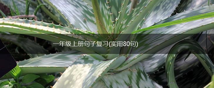 一年级上册句子复习(实用80句),第1张