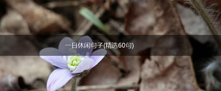 一日休闲句子(精选60句),第1张
