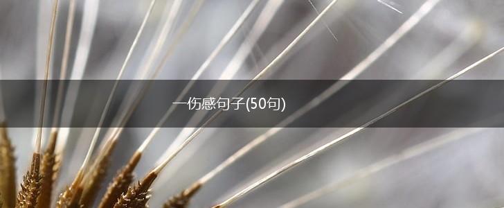 一伤感句子(50句),第1张