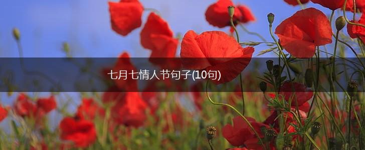 七月七情人节句子(10句),第1张