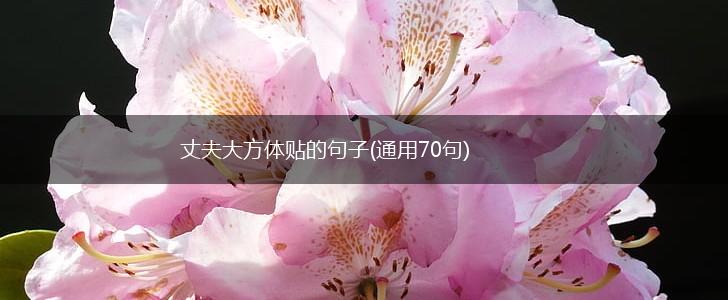 丈夫大方体贴的句子(通用70句),第1张