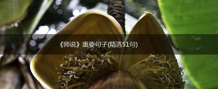 《师说》重要句子(精选51句),第1张
