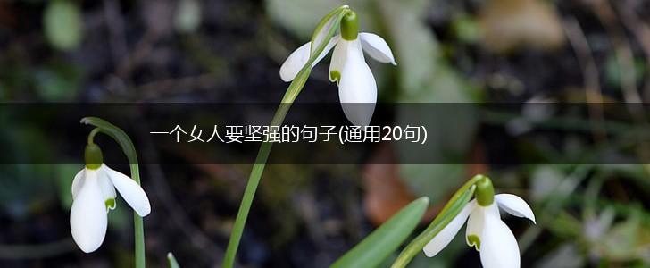 一个女人要坚强的句子(通用20句),第1张
