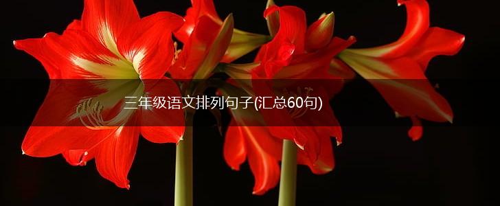 三年级语文排列句子(汇总60句),第1张