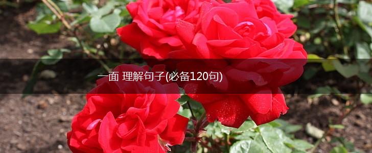一面 理解句子(必备120句),第1张